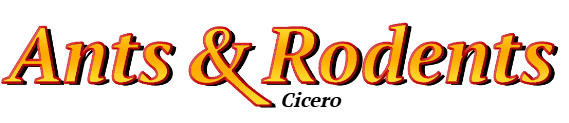 Cicero Ant Exterminator & Rodent Control Company Logo